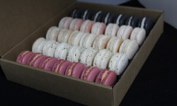 Les Macarondises - 35 Macarons Sucré-salés Végétarien
