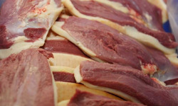 Maison Paris - Magret de canard gras fermier Label Rouge Landes x 6