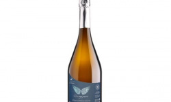 Château Balsamine - AOC Gaillac Méthode Ancestrale "Un ange passe Bulle" 2025 6x75cl