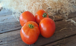 Les Jardins de Gérard - Tomate ronde rouge Bio - 500 g