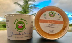 Glaces de Meuse - Sorbet Plein Fruit Melon 360g