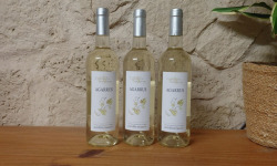 Domaine Les Conques Soulière - AGA 3x75cl Blanc Cuvée Agarrus