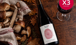 Domaine de la Perrée - Saint Nicolas de Bourgueil Rouge - L'Empreinte - 3x75cl