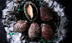 Luximer - Ormeaux Sauvages Préparés - 1 Kg