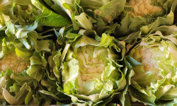 Maison Quéméner - Choux-fleurs - 3 pièces véritables choux-fleurs bretons