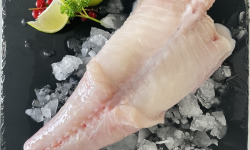 Notre poisson - Queue de lotte de 200/500gr en lot de 1kg