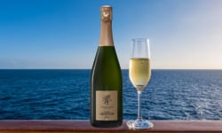 Champagne Thierry Griffon - Champagne Brut Réserve 75cl