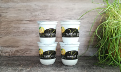 Laiterie de Pamplie - Lot De 4 Yaourts Brassés Arôme Naturel De Citron Au Lait Entier