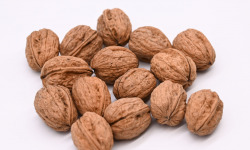 La Noyeraie des Borderies - NOIX BIO Calibre Moyen (28+) PROMO 10 kg !! RÉCOLTE 2025