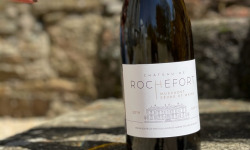 Château de ROCHEFORT - Muscadet de Sèvre et Maine sur Lie AOP - 2020