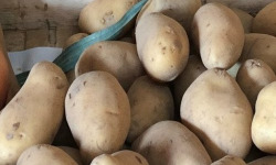 Ferme de la Paumerais - POMMES DE TERRE GRENAILLES PRIMEUR 10 KG