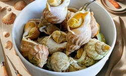 Famille Guezel - Bulots Cuits 3kg