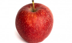 Pom Bio Berger - Pomme Gala Bio 1kg