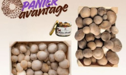 Les Myconautes - Panier Myconautes champignons bio - Avantage