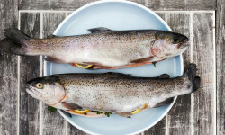 Nature et Saveurs - Ferme Aquaponique et Permacole Astérienne - Duo gourmand de truites blanches – Élevées en aquaponie