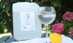 Alcools Vivant - Gin Decroix Bio bidon 5L