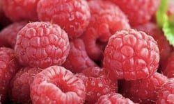 L'OLIVERAIE DU COUDON - FRAMBOISES 1 KG