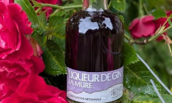 Distillerie du Bugey - Liqueur de gin à la mûre 20cl