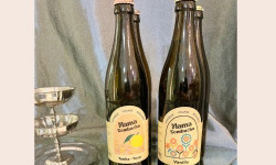Mama Kombucha - Collection de Fêtes - Mama Kombucha - Vanille - Tonka Yuzu - 4x50cl