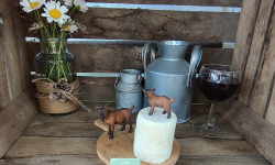 Boutique Boisette - Pur chèvre mi-sec 180g
