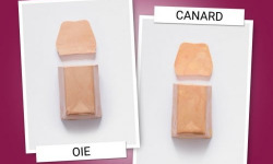 Lucien Doriath - Duo de foie gras tradition oie et canard (2x250 grammes)