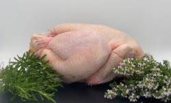 La Ferme d'Autrac - [Précommande] Poulet fermier minimum 2 KG