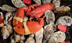 Thalassa Tradition - Plateau de fruits de mer