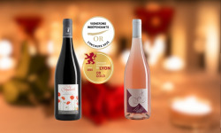 Domaine de la Chopinière du Roy - À deux c’est mieux - Coffret Duo vin de Loire Rouge et Rosé Fruité pour couple - 2 x 75 cl