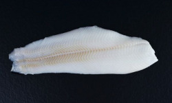 Poissonnerie Robert - Filet de Flétan 500g