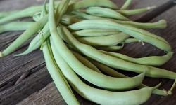 Les Jardins de Gérard - Haricot vert Bio - 250 g