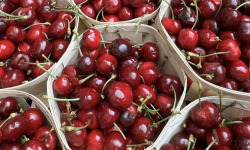 Domaine Reverchon - Cerises du Vaucluse 3 kg