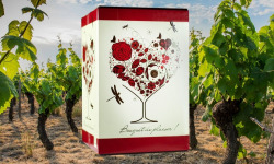 Domaine de la Perrée - AOC Saint Nicolas de Bourgueil - Rouge Bag In Box (BIB) 5L