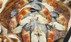 Famille Guezel - Pinces de Tourteaux Cuites 1kg