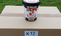 Les Glaces de la Vallée - PACK Yaourt et fruits glacés à la fraise "la Vallée" 12 pots de 500 ml