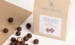 Aurélien Plassard Chocolatier - Noisettes enrobées noir 66%