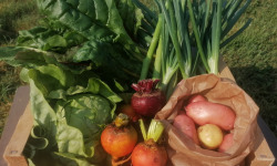 Ferme de Carcouet - Panier légumes de saison Bio - 10.5 kg