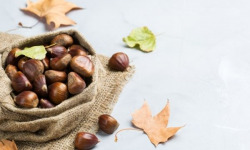 L'Art des Châtaignes - [Précommande] Châtaignes fraîches BIO - Variété BOUCHE ROUGE, provenance Aizac (07) - 5kg