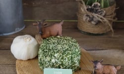 Boutique Boisette - Chèvre enrobé ail et fines herbes 150g