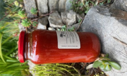 L’Oliveraie du Coudon - SAUCE Tomate Frito 545GR