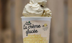 Bon Dimanche - Crème Glacée Vanille Bourbon Bio 2,5L