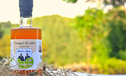 Dégustonfoin - Vinaigre de cidre au Foin Bio – 250 ml