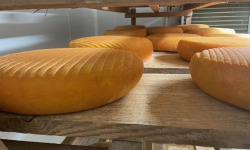 Domaine du Catié - Raclette de la Montagne Noire au lait cru entier