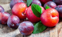 ChâteauFer - Prune rouge Châteaufer 500g