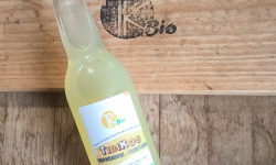 TK Bio - The Kefir et Kombucha Compagnie - TibiKos Gingembre Curcuma Bio (Kéfir)  6 x330ml