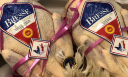 La Guyotte Ferme Bressane - La Poularde de Bresse AOP effilée par 6