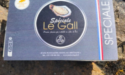 Jean Luc Le Gall Huîtres et Coquillages - Huitres Creuses SPECIALE LE GALL N°2 X 24