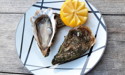 Les Huîtres du Grand Sud - Huitres creuses n°3 du Banc d'Arguin x100