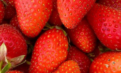 ChâteauFer - Fraise 250g