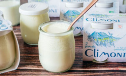 Laiterie du Climont - K-Philus - Yaourts Climont Nature, par 12 pots