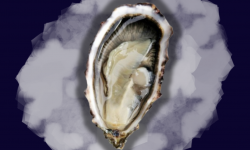 Le Termer - Huitres de Normandie IGP Saveurs de Normandie N°3 - 60 pièces